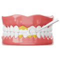 Tooth Checkup