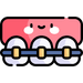 Braces Icon